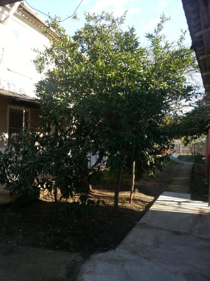 Guest House Yuzhnaya Palmira Pizunda Luaran gambar